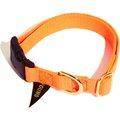 Found My Animal Rescue Orange Project Dog & Cat Collar, Orange, Large
