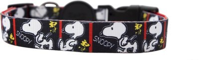 Zooz Pets Snoopy Filmstrip Dog Collar, slide 1 of 1