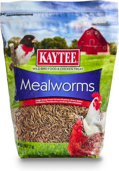 Kaytee Dried Mealworms Wild Bird & Chicken Treat, 32-oz bag slide 1 of 4