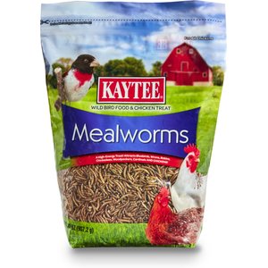 Kaytee Dried Mealworms Wild Bird & Chicken Treat, 32-oz bag