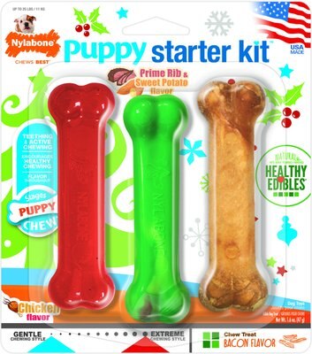 Nylabone Holiday Puppy Starter Kit Dog Toys, slide 1 of 1