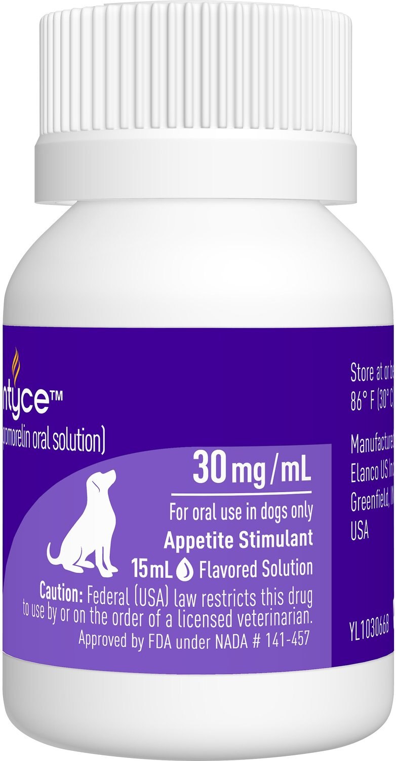 Entyce Oral Solution for Dogs, 15mL