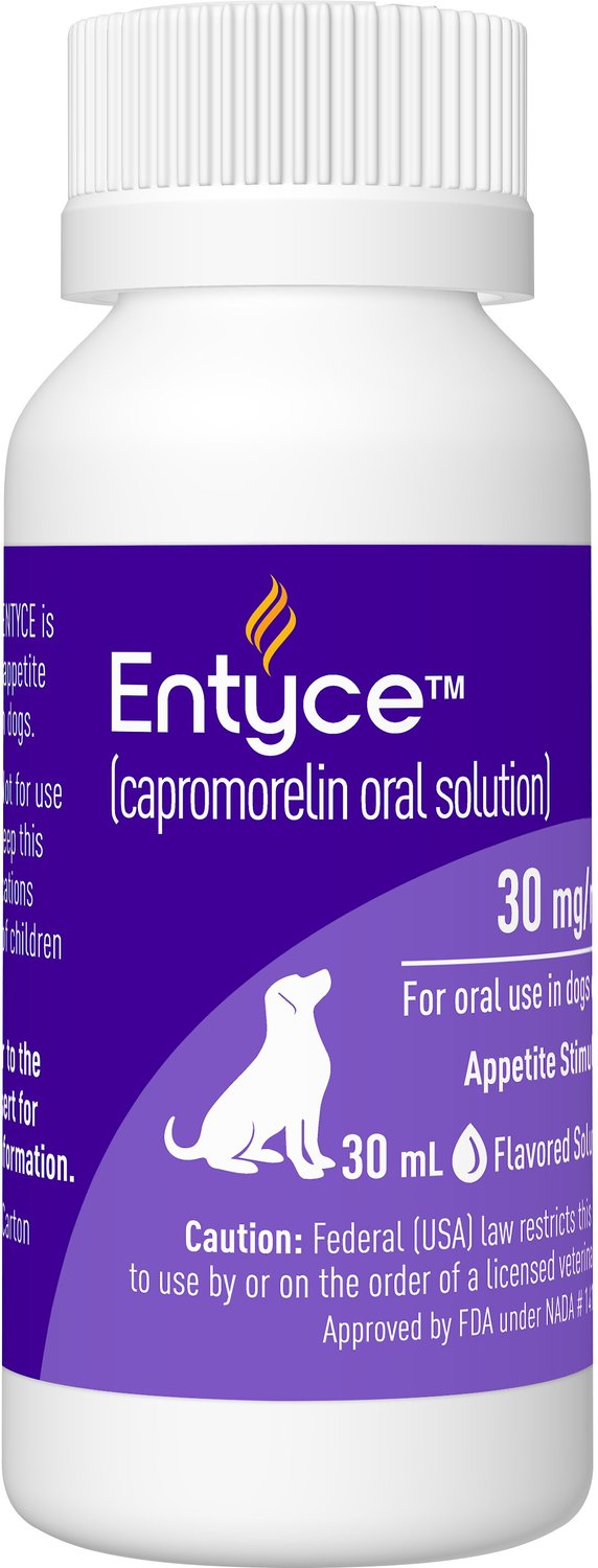 Entyce Oral Solution for Dogs, 30mL