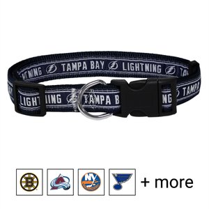Pets First NHL Nylon Dog Collar, Tampa Bay Lightning, Large: 18 to 28-in neck, 1-in wide