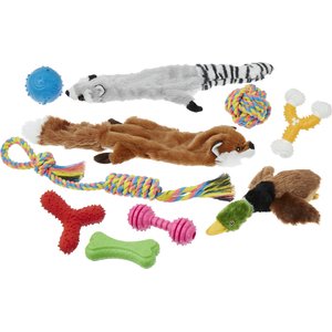 Frisco Forest Friends Plush, Rope & TPR Variety Pack Dog Toy, 10 count