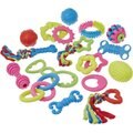 Frisco Just for Puppies Rope & TPR Variety Pack Puppy Toy, 17 count
