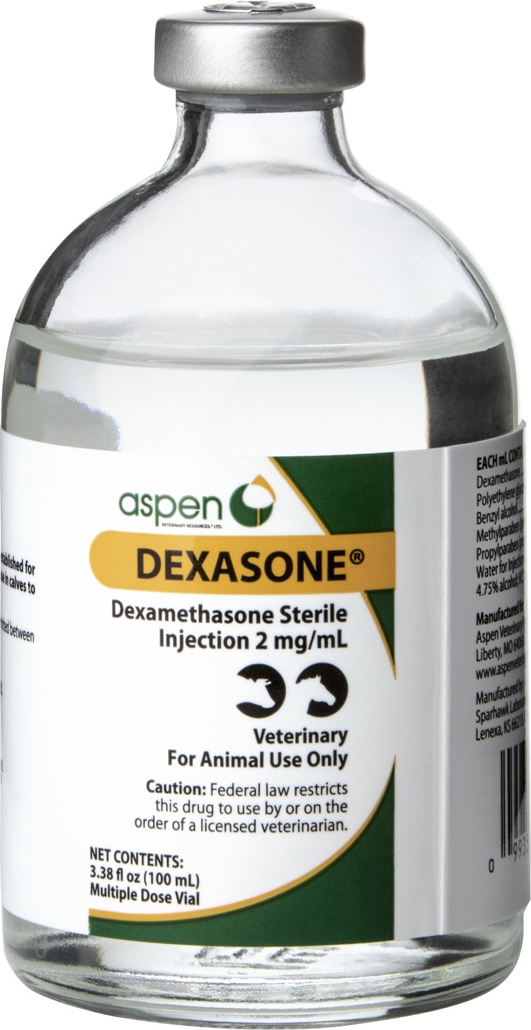DEXASONE (Dexamethasone) Injectable Solution for Horses & Livestock, 2