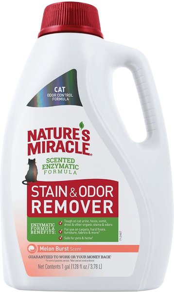 Nature's Miracle Cat Enzymatic Stain & Odor Remover, Melon Burst Scent, 1-gal bottle slide 1 of 6