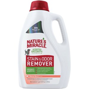 Nature's Miracle Dog Enzymatic Stain & Odor Remover, Melon Burst Scent, 1-gal bottle