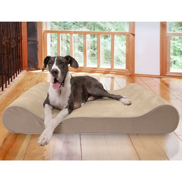 Orthopedic Micro Velvet Ergonomic Luxe Lounger Cradle Mattress Contour Pet Bed w/ Removable Cover for Dogs & Cats Available in Multiple Colors & Styles Furhaven Pet Dog Bed