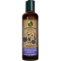 PetLab Extractos Neutral pH Lavender Extract Dog Shampoo, 10-oz bottle