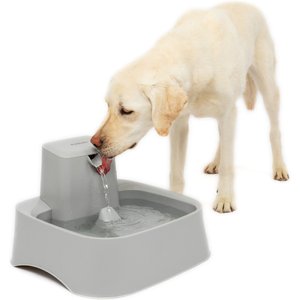 Drinkwell 2-Gallon Pet Fountain