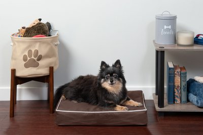 FurHaven Indoor/Outdoor Solid Cooling Gel Cat & Dog Bed w/Removable Cover, slide 1 of 1