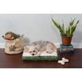FurHaven Paw Decor Deluxe Cooling Gel Cat & Dog Bed w/Removable Cover, Jade Green, Small