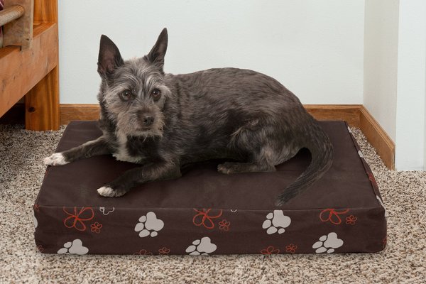 FurHaven Indoor/Outdoor Garden Cooling Gel Cat & Dog Bed w/Removable Cover, Bark Brown, Small slide 1 of 9