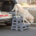 Range Kleen Foldable Dog Car Stairs, Large