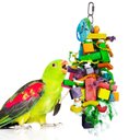 Sungrow Parrot Chew Toy, Foraging Blocks for Birds, Rainbow Wood