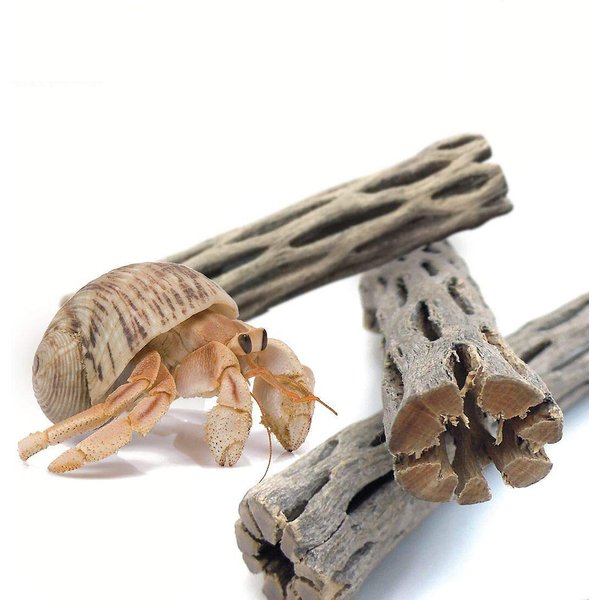 PRETTY Cholla Wood "3" Pieces 12 " to 14"' Aquarium Decor Fish Hermit Crabs 