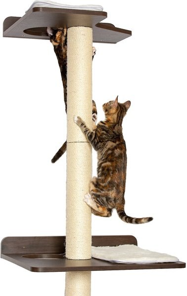 PetFusion 76.8-in Wall Mounted Cat Tree slide 1 of 9
