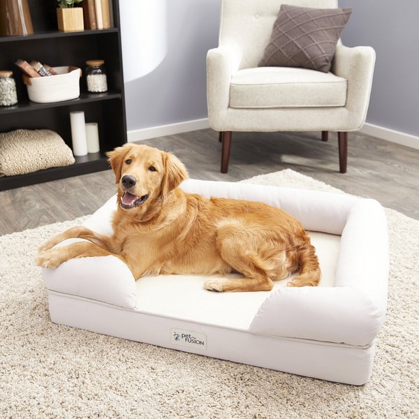 PetFusion Ultimate Lounge Memory Foam Bolster Cat & Dog Bed w/Removable Cover, Sandstone, Large slide 1 of 8