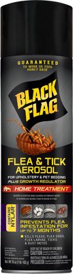 Black Flag Indoor Flea & Tick Spray for Dogs, slide 1 of 1
