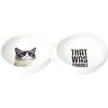 PetRageous Designs Grumpy Cat "That Was Terrible" Duo Diner Pet Bowls, 10-in