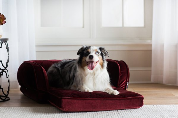 La-Z-Boy Duchess Fold Out Sleeper Sofa Dog Bed w/Removable Cover, Velvet Merlot slide 1 of 6