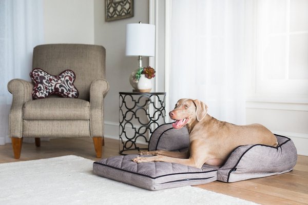 La-Z-Boy Duchess Fold Out Sleeper Sofa Dog Bed w/Removable Cover, Textured Gray slide 1 of 6