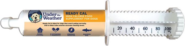 Under the Weather Ready Cal High Calorie Food Nutritional Gel Dog Supplement, 100-cc syringe slide 1 of 8