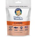 Under the Weather L-Lysine Soft Chews Cat Supplement, 60 count