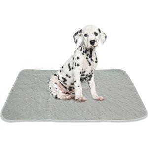 Rocket & Rex Washable Puppy Training Pads, Medium: 22 x 22-in, 2 count, Unscented
