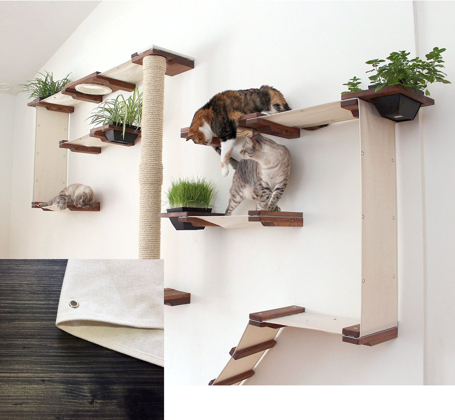 CatastrophiCreations Cat Mod Wall Mounted Gardens Complex Cat Shelf Set