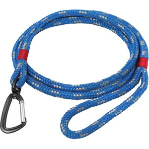 Kurgo Humble Polyester Dog Leash, Blue/Red, 5.4-ft long, 3/4-in wide