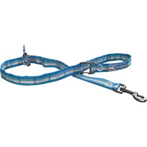 Kurgo RSG Stub Polyester Reflective Dog Leash, Blue/Gray, 4.5-ft long, 1-in wide