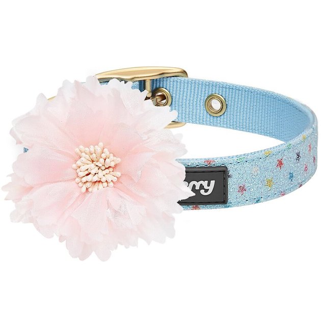 Blueberry Pet Star Glitters Holo Glitter Dog Collar with Flower, Baby Blue