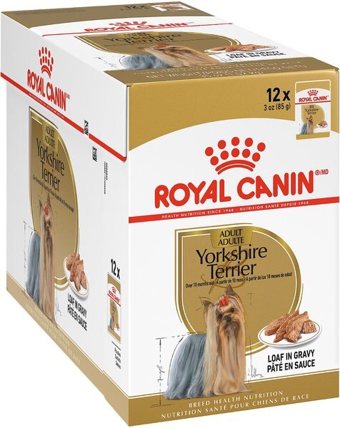 Royal Canin Breed Health Nutrition Yorkshire Terrier Adult Loaf in Gravy Pouch Dog Food, 3-oz, case of 12 slide 1 of 8