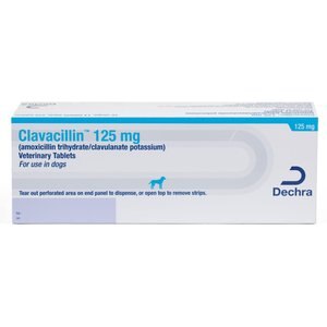 Clavacillin (amoxicillin trihydrate/clavulanate potassium) Tablets for Dogs & Cats, 125-mg, 1 tablet