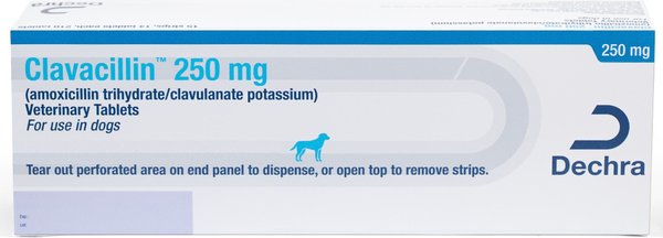 Clavacillin (amoxicillin trihydrate/clavulanate potassium) Tablets for Dogs & Cats, 250-mg, 1 tablet slide 1 of 7
