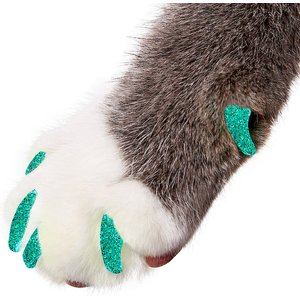Purrdy Paws Soft Cat Nail Caps, Seafoam Glitter, Small, 20 count