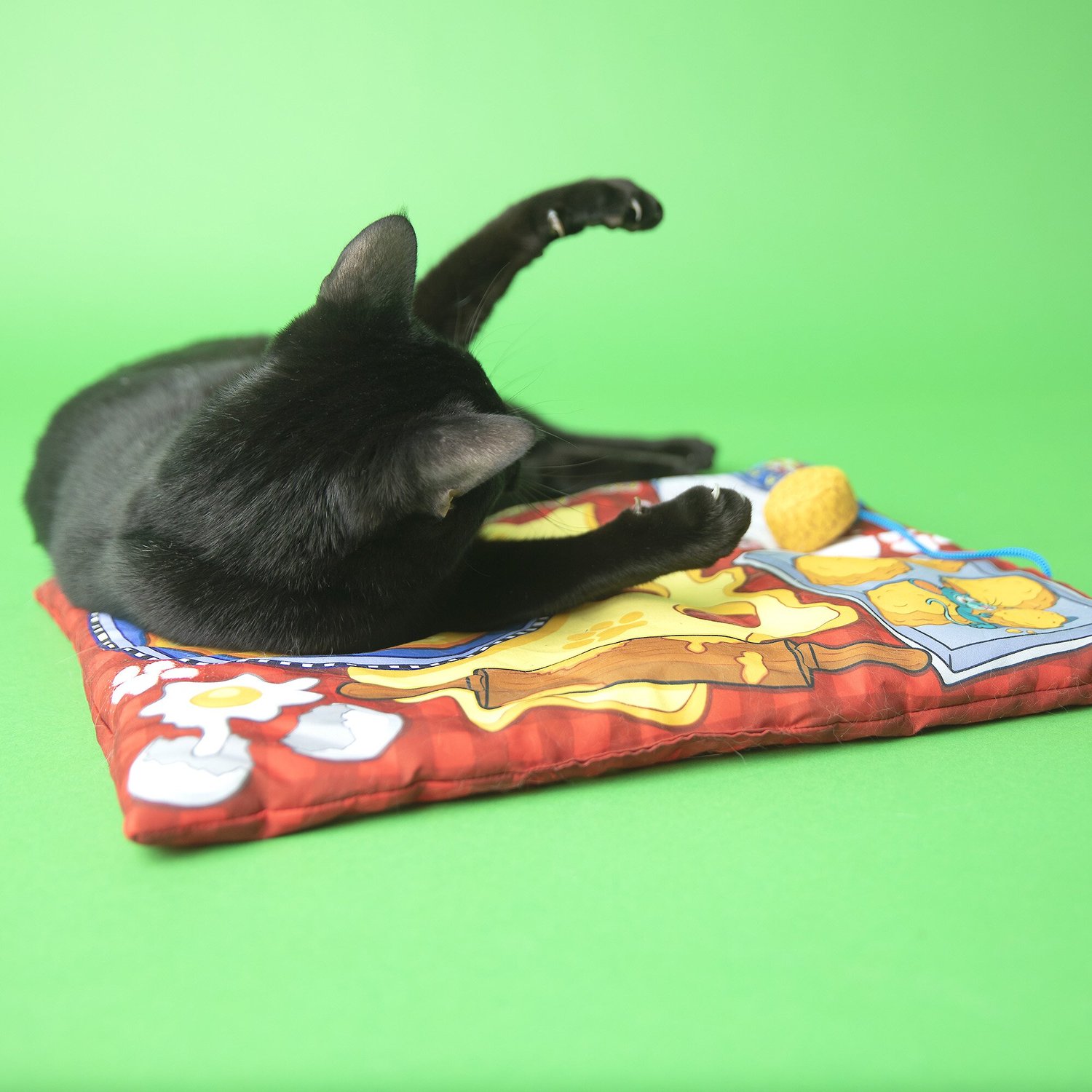 Fat Cat Big Mama's Makin' Biscuits Boogie Mat Cat Toy with