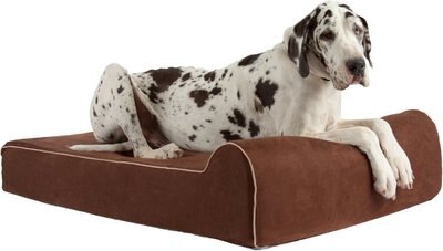 Bully Beds Orthopedic Pillow Dog Bed w/Removable Cover, slide 1 of 1