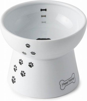 Necoichi Ceramic Elevated Dog Food Bowl, 1.5-cup, slide 1 of 1