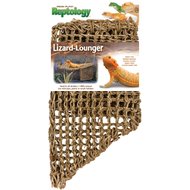 Shells and Hidden Coconut Shell Pet Terrarium Supplies for Pet to Perch Woiworco 20 Pieces Bearded Dragon Accessories Hammock Including Reptiles Hanging Plants Artificial Bendable Climbing Vines 