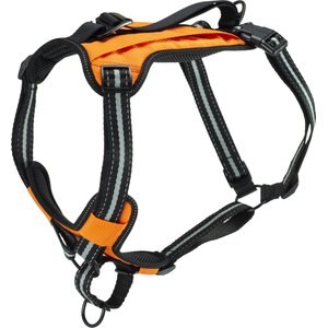 PetSafe Walk Along Nylon Reflective Back Clip Dog Harness, Orange, Small: 19 to 25-in chest