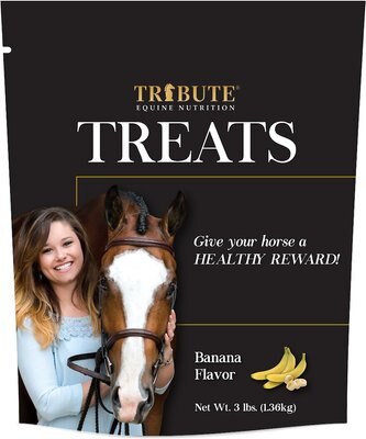 Tribute Equine Nutrition Banana Horse Treats, slide 1 of 1