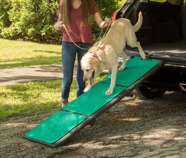 Pet Gear Tri-Fold Dog Car Ramp with Supertrax, Green slide 1 of 5
