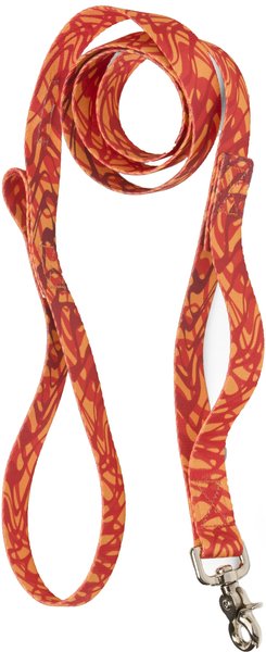 West Paw Outings Polyester Dog Leash, Zebra Firel, 5-ft long, 1-in wide slide 1 of 4