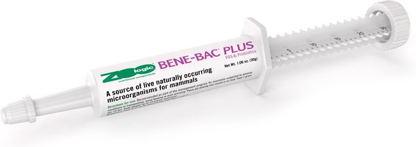 PetAg Bene-Bac Plus Gel Digestive Supplement for Dogs & Horses, 30-g tube slide 1 of 1