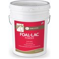 PetAg Foal-Lac Instantized Milk Replacer Powder Horse Supplement, 20-lb tub