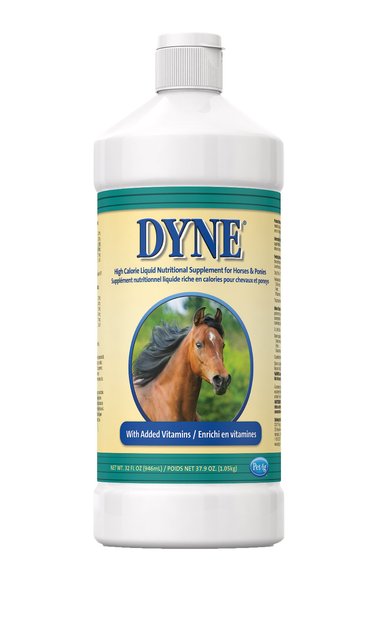 dyne supplement reviews